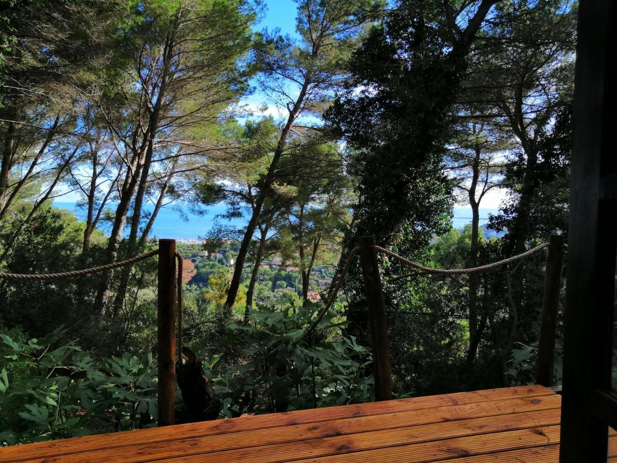 Cabane Azur Mountain Vallauris Exterior foto